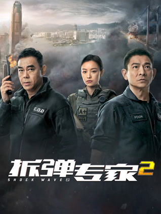 拆弹专家2 粤语版