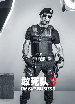 敢死队3 普通话