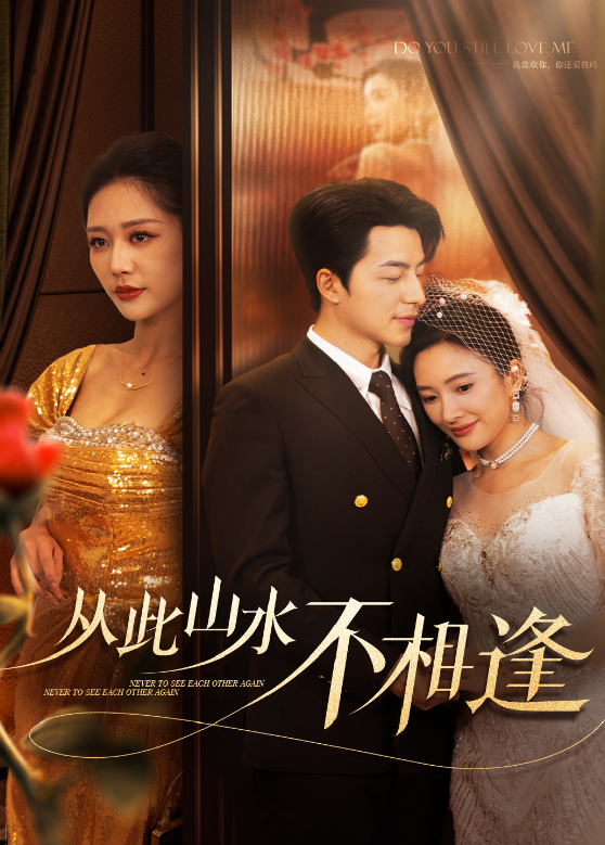 从此山水不相逢
