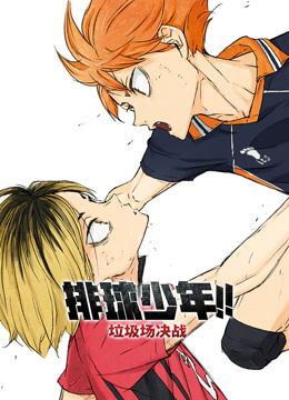 排球少年!!垃圾场决战 普通话