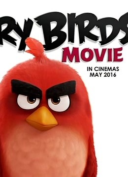 愤怒的小鸟 普通话