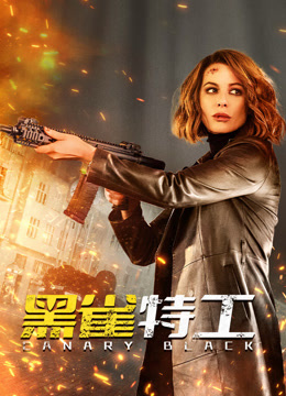 黑雀特工 普通话