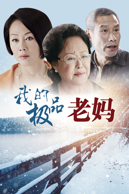 我的极品老妈