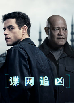 谍网追凶 普通话