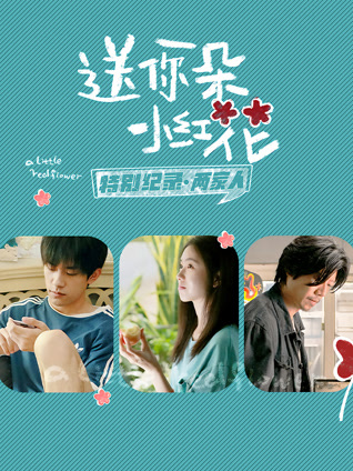 送你一朵小红花 特别纪录第二集