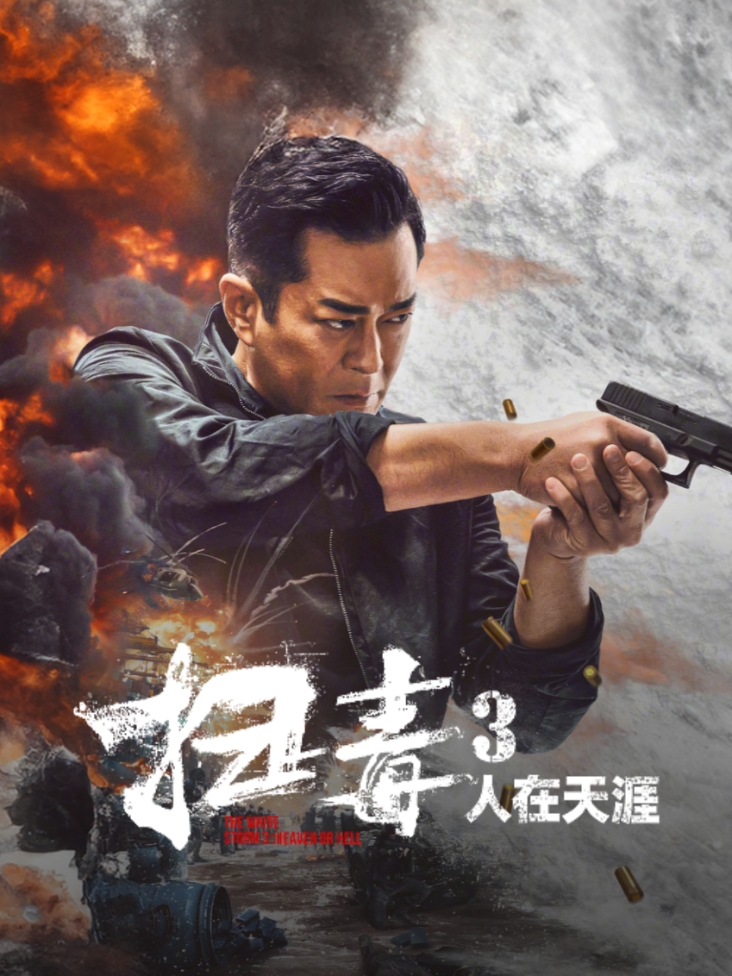 扫毒3：人在天涯