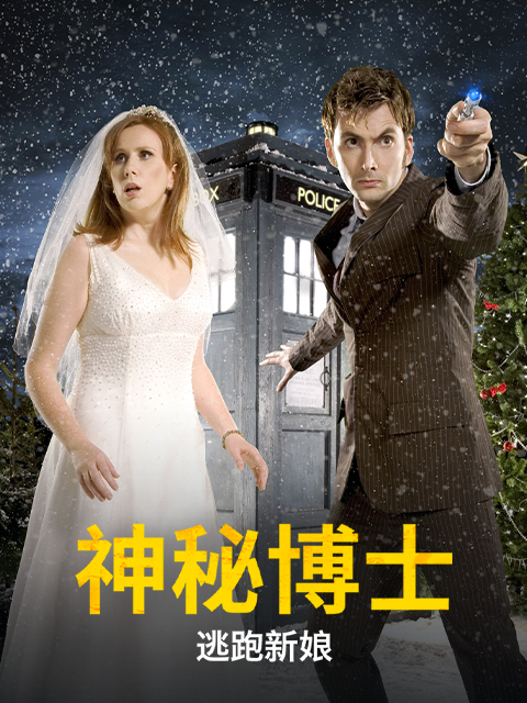 神秘博士：逃跑新娘
