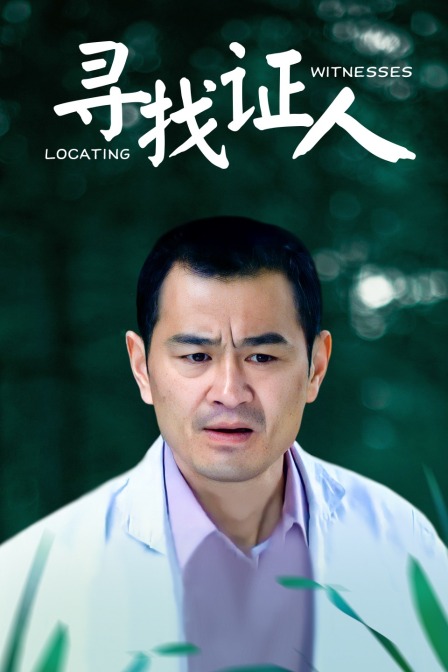 寻找证人
