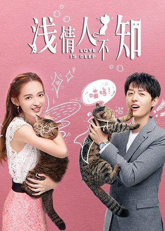 浅情人不知