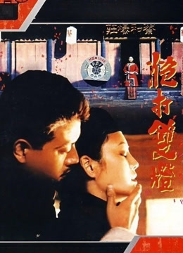 炮打双灯（1994）