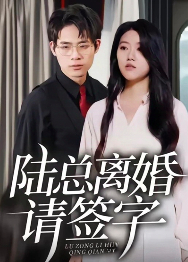 陆总离婚请签字