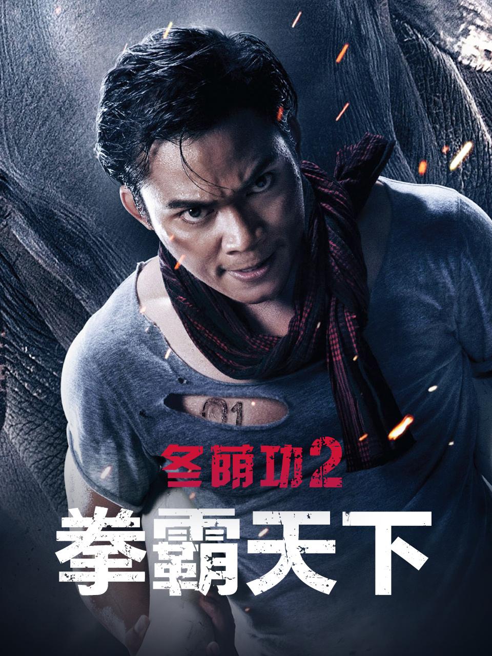 冬荫功2：拳霸天下