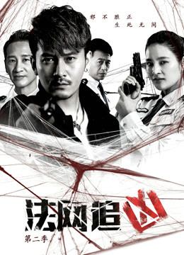 法网追凶 第二季