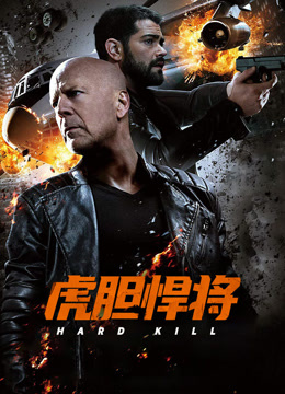 虎胆悍将 普通话