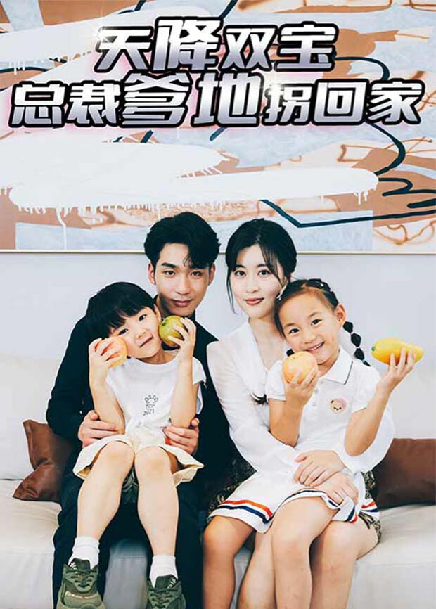 天降双宝，总裁爹地拐回家